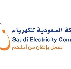 عضو بالشورى يقترح إلزامية تركيب الكاميرات الأمنية في المواقع العامة