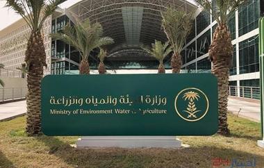 بالأسماء.. وزارة البيئة تدعو الدفعة الأولى من المتقدمين على وظائفها للمطابقة