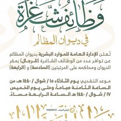 16 ألف فرصة تدريبية للطلاب والطالبات عبر «صيفي»