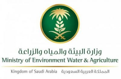 إيصال المياه الى حي الشفا بطريف خلال عشرة أيام