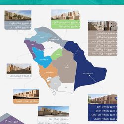 هواوي” تعلن تأجيل طرح هاتفها القابل للطي