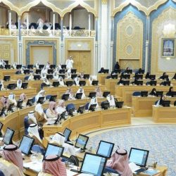 “المالية” تطلق حزمة من الخدمات الإلكترونية الجديدة عبر منصة “اعتماد”
