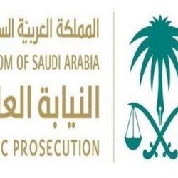 “الأرصاد والبيئة” تباشر مكان احتجاز الأغنام بالقار المسكوب بحزم الجلاميد