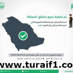 تعديل اللجنة الفنية في هيئة الثقافة برئاسة آل الشيخ