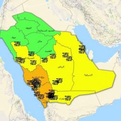 الأمن العام: ضبط 71 مكتباً وهمياً للحج وإعادة 5 آلاف شخص لا يحملون تصاريح