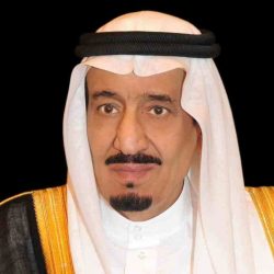 محمد بن زايد: السعودية والإمارات في خندق واحد.. والتحالف أوقف محاولة اختطاف اليمن