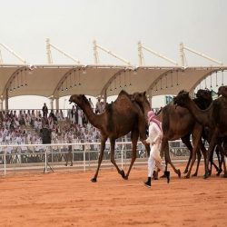 محلات أنوار المستقبل للأجهزة الكهربائية بطريف تعلن عن عروض العودة للمدارس