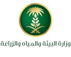 “حامل اللقب” النصر يستضيف ضمك .. والأهلي يخشى مفاجأة العدالة