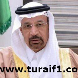 السيرة الذاتية للأمير عبدالعزيز بن سلمان وزير الطاقة الجديد