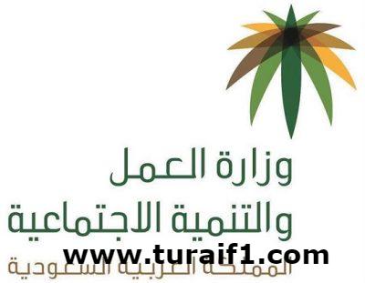 “العمل”: بدء توطين مهنة مدير معرض لـ12 نشاطاً.. وانتهاء مهلة الاستثناء للوافدين