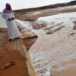 “الأرصاد”: أمطار رعدية مصحوبة برياح نشطة على الأجزاء الشمالية الشرقية للمملكة