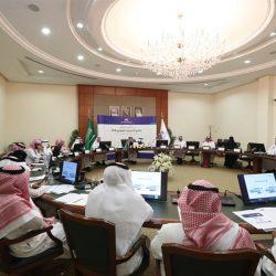 نائب رئيس لجنة الحج والعمرة: إقرار تأشيرة “مضيف” خلال أيام وإصدارها عبر “أبشر”