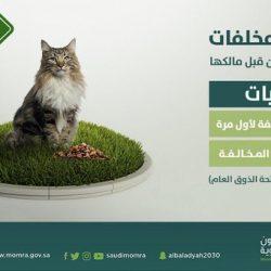 بلدية طريف تقوم بعملية تجديد لأعمدة الإنارة بحديقة الإسكان