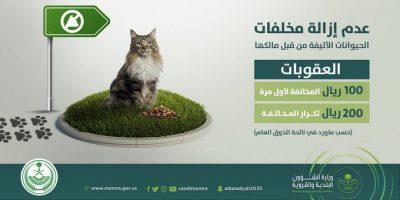 “الشؤون البلدية” توضح عقوبة عدم إزالة مخلفات الحيوانات الأليفة