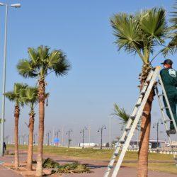 جراحة ناجحة تُسهم في استئصال ورم من الرحم بمستشفى رفحاء العام