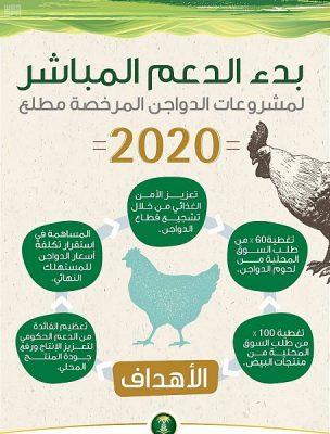“البيئة” تستكمل استعداداتها لبدء الدعم المباشر لمشروعات الدواجن في المملكة مطلع 2020م