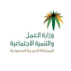 إلزام الجهات الحكومية بإعداد خطط عمل وآليات لرفع كفاءة استهلاك الوقود لديها لتحقيق “كفاءة الطاقة”