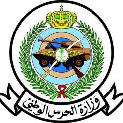 “هيئة الإحصاء”: انخفاض معدل البطالة لإجمالي السكان في المملكة إلى 5.5% وانخفاض بطالة السعوديين إلى 12%