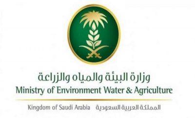 “البيئة” ترفع حظر استيراد المواشي الحية من أسبانيا وألبانيا