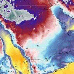 “المرور” يوضح آلية الاستعلام عن المخالفات وسدادها للزائرين