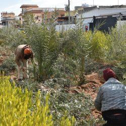 “طريف” تحت الصفر.. “الأرصاد”: هذه أدنى درجات الحرارة المسجلة اليوم في المملكة