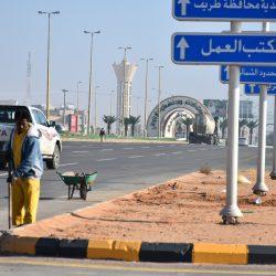 “الخدمة المدنية” توضح حقيقة الربط بينها وبين “الجوازات” لمراقبة سفر الموظفين إلى الخارج