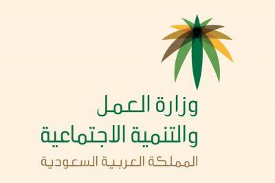 “العمل” تدعو الشركات إلى الاطلاع على دليل التوطين في عقود التشغيل والصيانة.. ما فائدته؟
