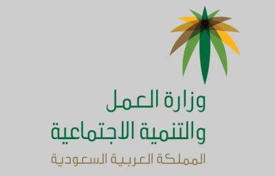 “العمل” تعلن مخرجات مشاريع التأهيل المنتهي بالتوظيف لذوي الإعاقة