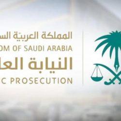 “الوزراء” يقر تنظيم مؤسسة حديقة الملك سلمان ومؤسسة المسار الرياضي