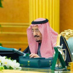 بلدية محافظة طريف تبدأ بزراعة الورود الموسمية بطريق الأمير عبدالله بن عبدالعزيز بن مساعد