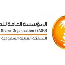 عبدالله الخليف يفوز بجائزة المركز الاول سيارة في سباق (بيور قرناس )