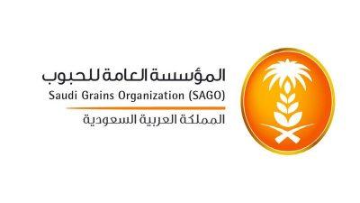 “الحبوب” تطرح مناقصة لاستيراد 715 ألف طن قمح