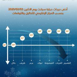 الدكتور توفيق الربيعة يكرم صحة الشمالية ومركز الطب الشرعي بالحدود الشمالية