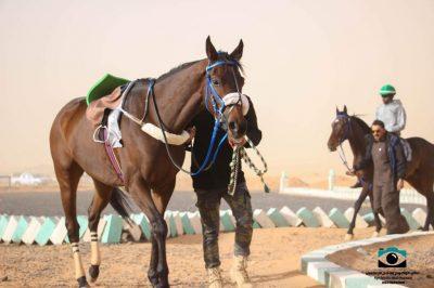 بالصور .. نتائج سباق الخيل على كأس بلدية محافظة طريف