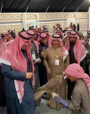 الصقار الصغير بين يدي الأمير