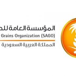 حالة الطقس المتوقعة اليوم الإثنين