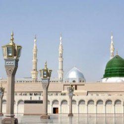 هل ينبغي أن نهلع بسبب “كورونا”؟.. إليك المؤشرات وما توصي به “الصحة العالمية”