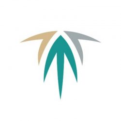 الصحة تطلق تطبيق “تطمن”