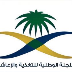 بالفيديو .. الجمارك السعودية تنجح في إحباط محاولة تهريب 499,321 حبة كبتاجون عبر منفذ الحديثة