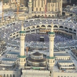 تيسيرًا للمستوردين.. الجمارك تؤجل سداد الرسوم الجمركية المستحقة على البضائع المستوردة