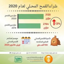 التحالف: ميليشيا الحوثي أطلقت “باليستياً” من صنعاء فسقط في منطقة ذات كثافة سكانية بصعدة