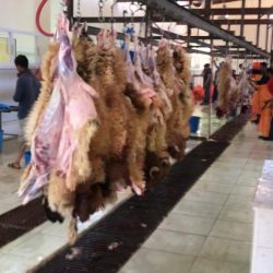 سمو أمير منطقة الحدود الشمالية يقدم تبرعاً مالياً ب400 ألف ريال لمبادرة ” عينين برأس “