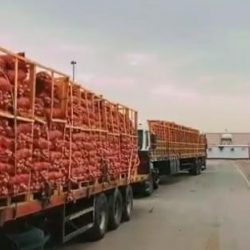 فرع وزارة البيئة والمياه والزراعة بالحدود الشمالية ينفذ عمليات التعقيم والتطهير بالشوارع والمرافق العامة