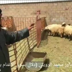 التخصصات الصحية تدعم القطاع الصحي بمنح تسجيل مؤقت لجميع الممارسين الصحيين