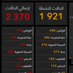 سمو أمير منطقة الحدود الشمالية يرأس جلسة مجلس المنطقة عبر الاتصال المرئي الثلاثاء المقبل