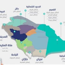 “المرور”: في هذه الحالة يمكن لحامل تصريح القيادة الحصول على رخصة دون الخضوع لاختبار