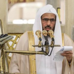 مجلس الوزراء: نقل 7 اختصاصات من البلدية إلى الزراعة