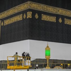 التأمينات الاجتماعية تدعو حديثي التخرج للانضمام إلى برنامج النخبة
