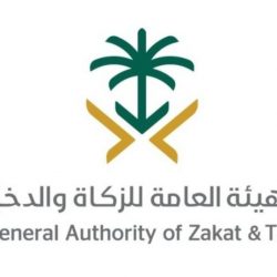 الطائرة الرابعة وصلت بيروت.. إجمالي مساعدات السعودية 290 طناً عبر 4 طائرات