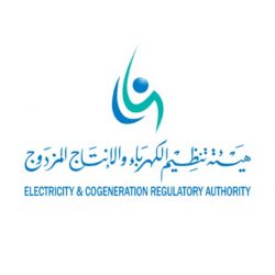 “المواصفات” و”الجمارك” تدرسان تغليف المنتجات المستوردة في المملكة